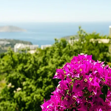 Aegean Hills Gumusluk