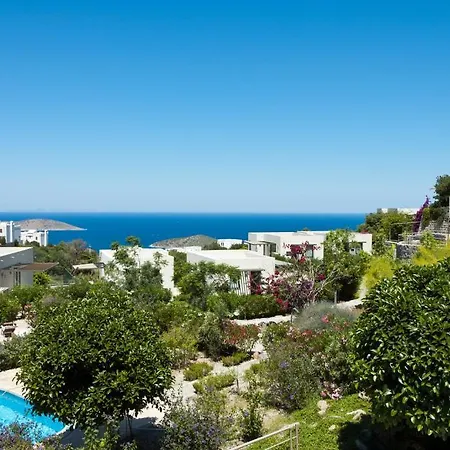 Aegean Hills * Gumusluk