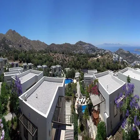 Villa Aegean Hills Gumusluk